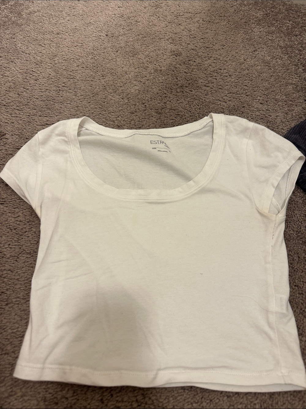 White Short Sleeve Scoop Neck Crop Top